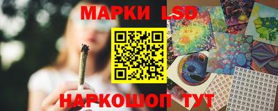крисы Будённовск