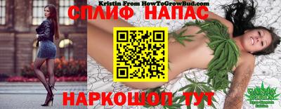 спиды Бузулук