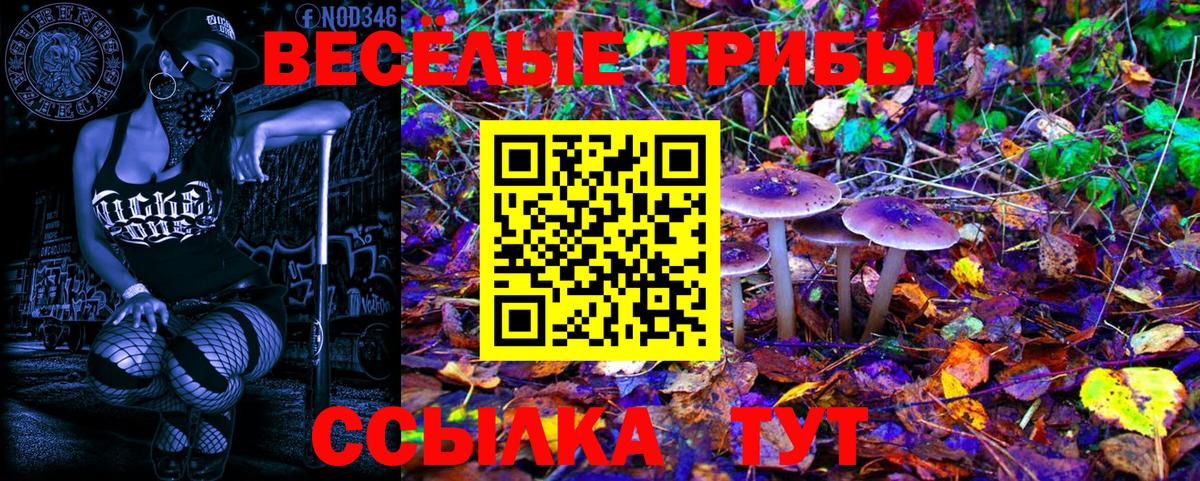 Нефтекамск  купить   Вход с VPN  Псилоцибиновые грибы GOLDEN TEACHER 